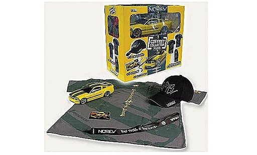 Ford Mustang Cesam 1/18 Norev by Parotech gelb/grau 2007 modellautos
