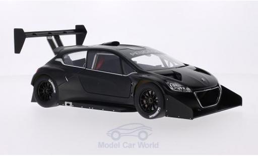 Modellautos Peugeot 208 T16 1/18 AUTOart T16 matt-schwarz Pikes Peak 2013 Plain Body Version Peugeot 208 T16 1/18 AUTOart T16 matt-schwarz Pikes Peak 2013 Plain Body Version modellautos