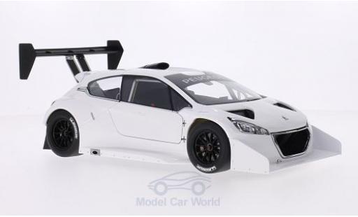 Modellautos Peugeot 208 T16 1/18 AUTOart T16 weiss Pikes Peak 2013 Plain Body Version Peugeot 208 T16 1/18 AUTOart T16 weiss Pikes Peak 2013 Plain Body Version modellautos