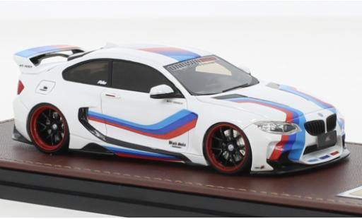 Modellautos Bmw M235 1/43 GLM i DarwinPro MTC Design Black Sails weiss/Dekor Bmw M235 1/43 GLM i DarwinPro MTC Design Black Sails weiss/Dekor modellautos