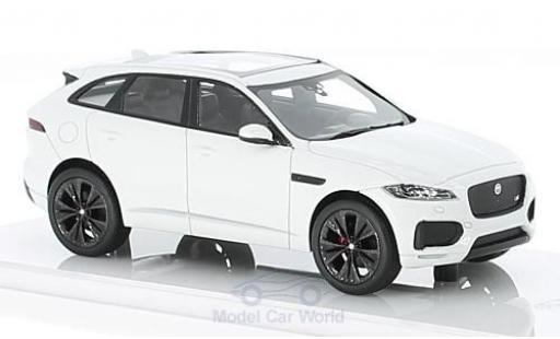Jaguar F-Pace 1/43 TrueScale Miniatures weiss modellautos